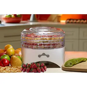 professional food dehydrator