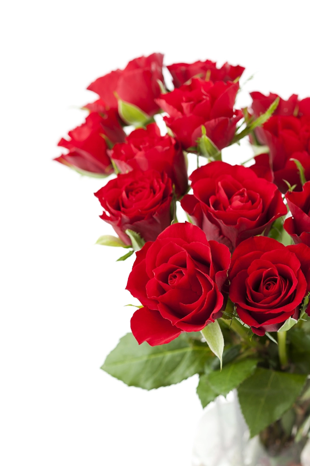 Happy Valentine's Day l Why Choose Red Roses for Valentines Day ...