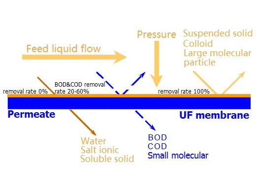 UF Membrane Fundamentals.jpg