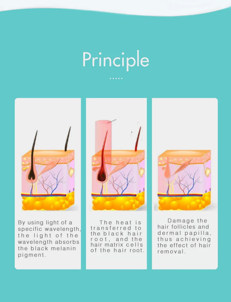LED Hair Removal Machine