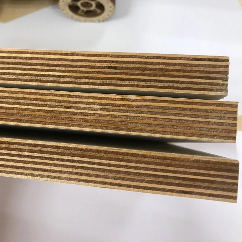 Birch faced plywood