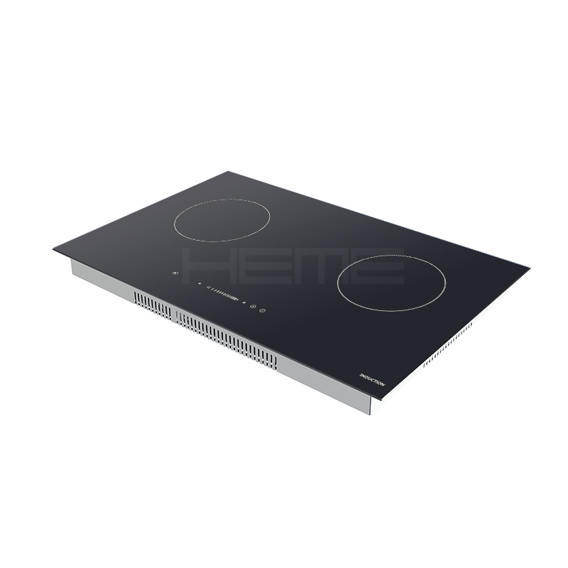 induction electric cooker