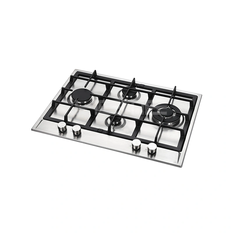 Built-in Gas stove