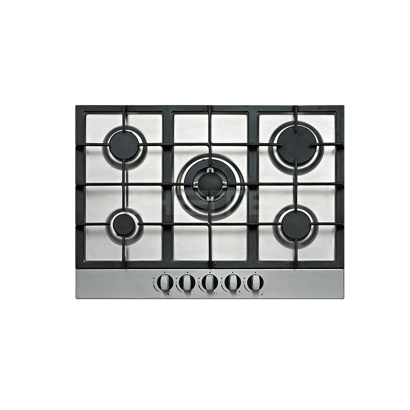 stainless steel gas stove