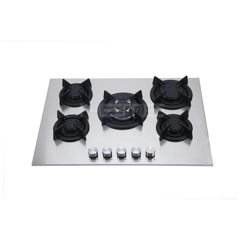 Gas stove