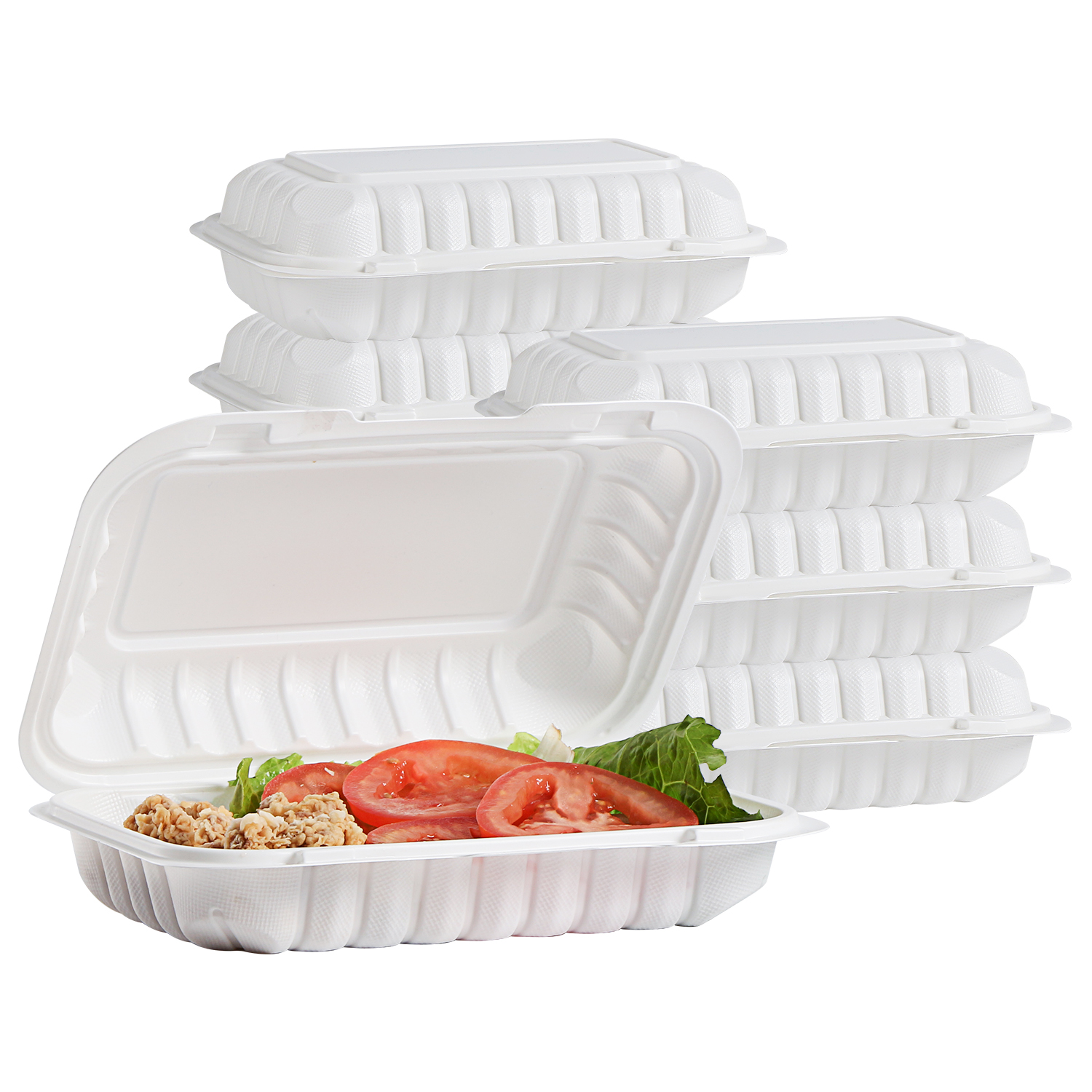 Sustainable ToGo Solutions Exploring Togo Boxes for Food, Recyclable