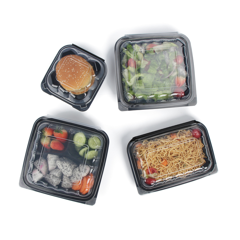 culinary-care-innovative-boxes-for-food-packaging-hot-food-containers