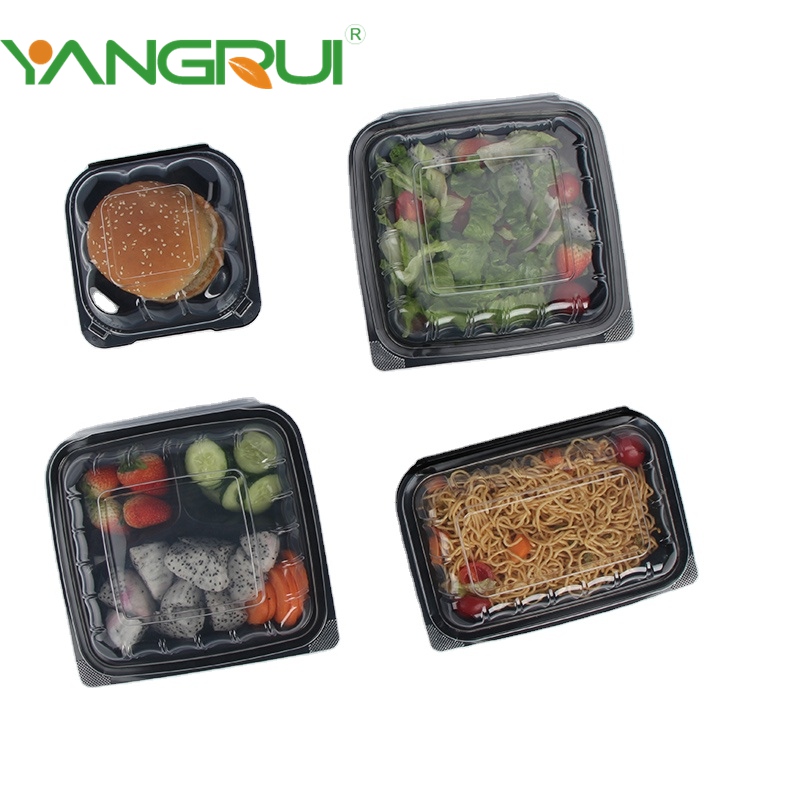 Takeout Brilliance Best ToGo Containers for Fried Food and Square
