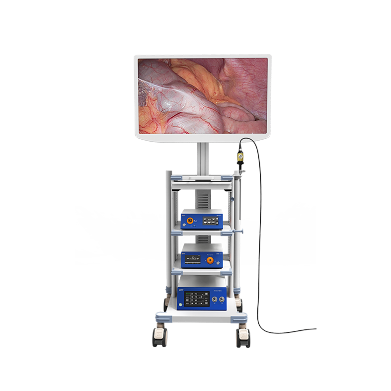 Disposable and Reusable Laparoscopic Surgical Instruments Manufacturer