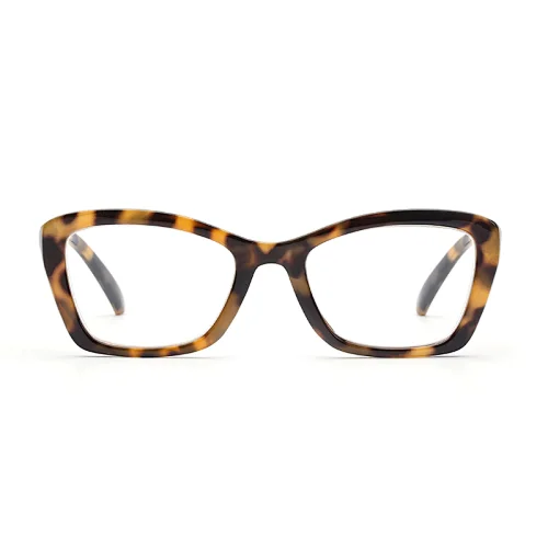 reading glass cases