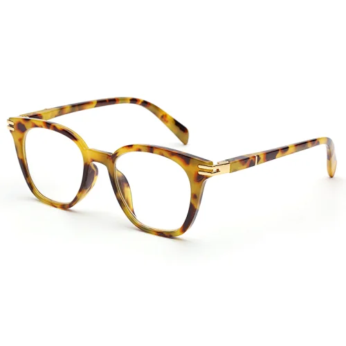 aimant reading glasses