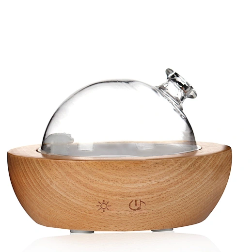 Wooden Essential Oil Diffuser