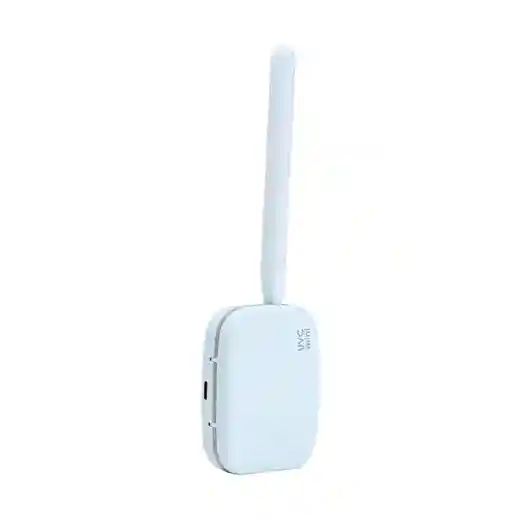 sanitizing toothbrush