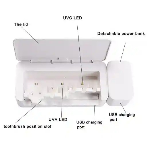 wall mounted toothbrush holder for bathroom