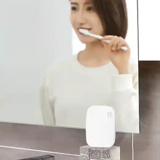 sanitizing toothbrush