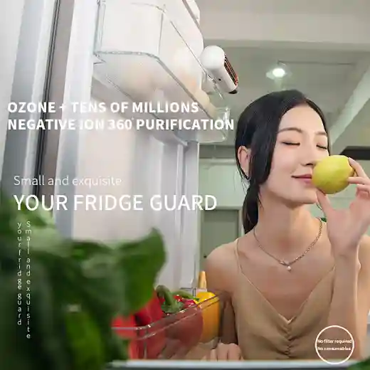fridge ozone deodorizer