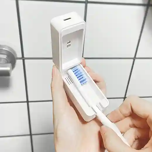 travel toothbrush holder