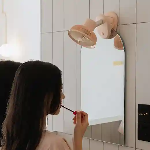 clip fan
