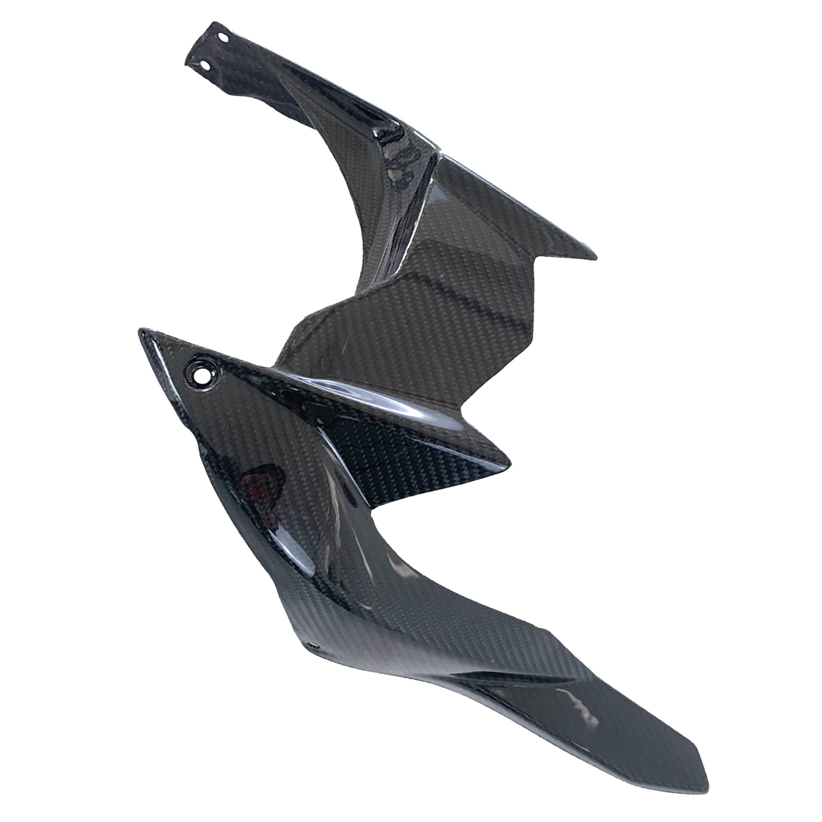 kawasaki-h2-carbon-fiber-rear-fender