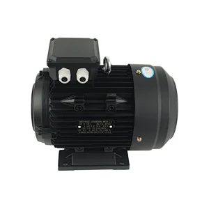 5.5kw Premium Efficiency Motor for pressure washer machine