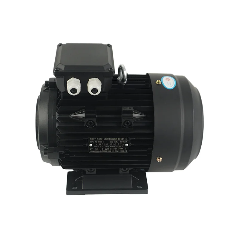 5.5kw Premium Efficiency Motor for pressure washer machine