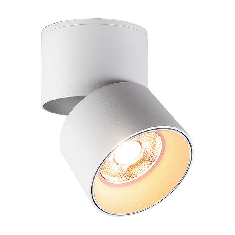 ceiling luminaire