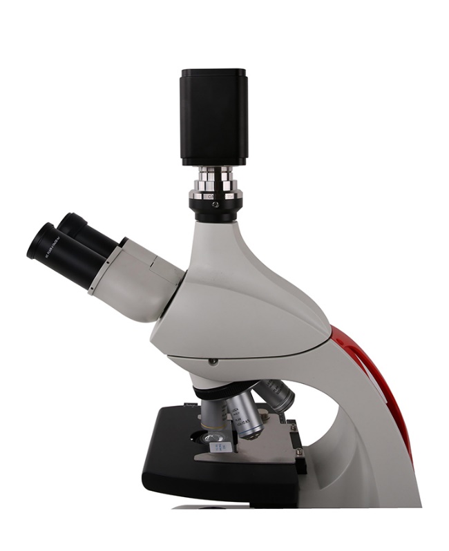 BWHC-4K8MPA 4K UHD HDMI/GigE/WiFi Multi-Outputs Microscope Camera (Sony ...