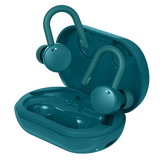 ear hook earbuds