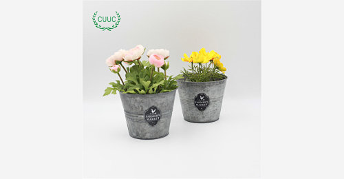 cute flower pot valentines day