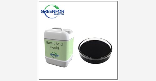 Humic Acid Liquid Fertilizer Greenfor