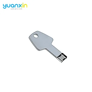 Free Sample Metal Key Usb Flash Drive Custom Logo Usb Stick Memory Any Color