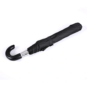 2 Fold Auto Open Umbrella with Plastic Hook Handle