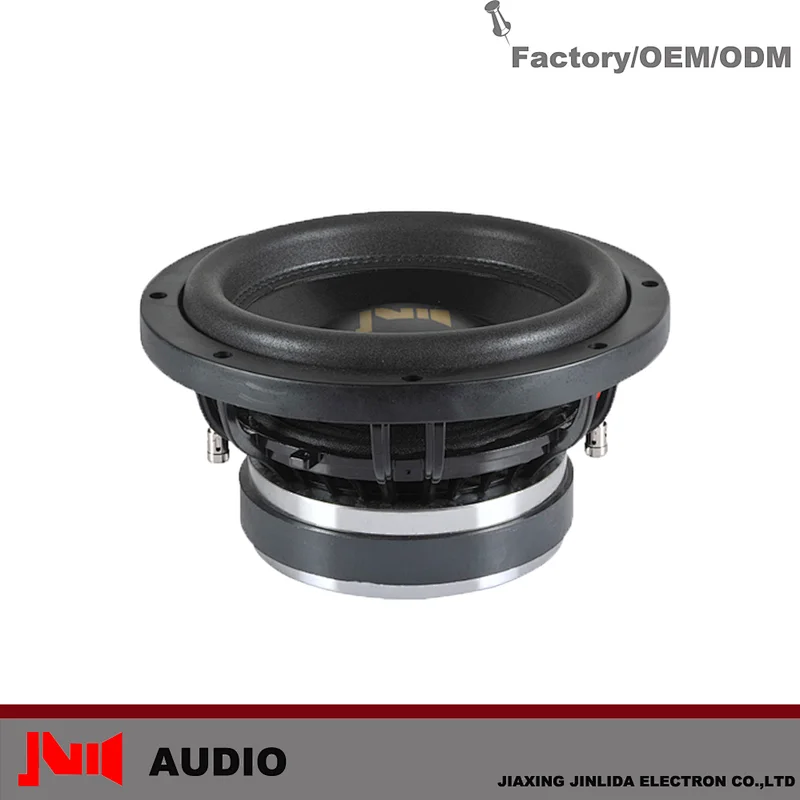 Reasonable Price 10inch 300w 2.5inch Voice Coil High Performance Car Audio Subwoofer