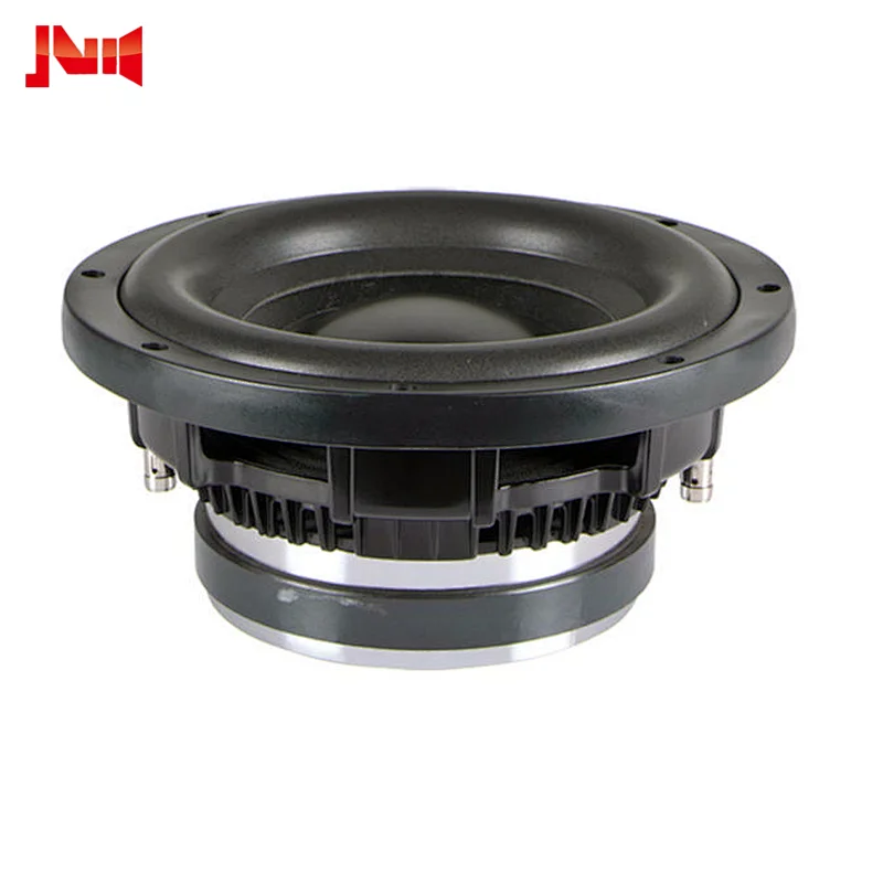 Reasonable Price 10inch 300w 2.5inch Voice Coil High Performance Car Audio Subwoofer