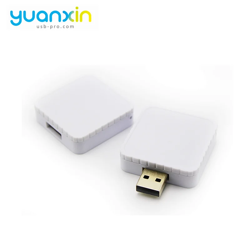 Custom Promotional Plastic Case USB Flash Drive