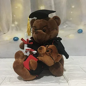 Graduaiton Plush Toy-Teddy Bear