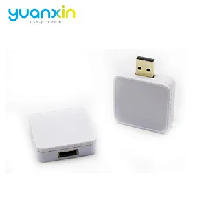 Custom Promotional Plastic Case USB Flash Drive