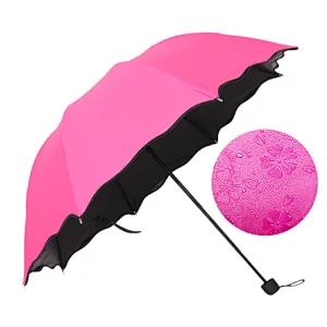 flowers appear in water umbrella