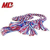 Factory High Quality Braided Graduation Honor Cord Two or Three Colors