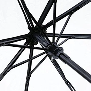 auto open and close transparent umbrella