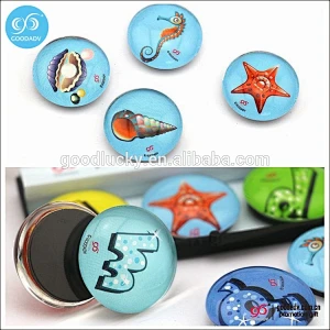 dome glass sticker magnet round