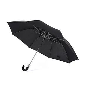 2 Fold Auto Open Umbrella with Plastic Hook Handle