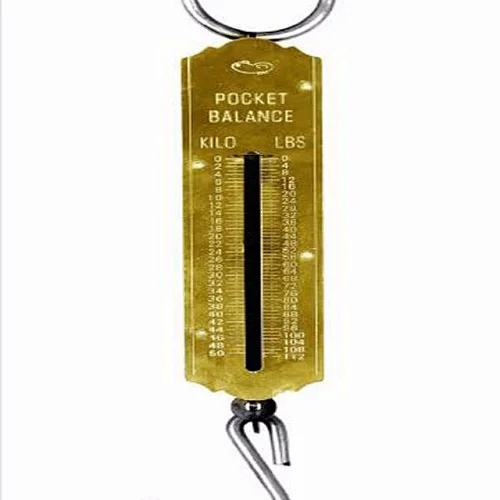 hot sales 100kg Spring hanging scale fishing balance