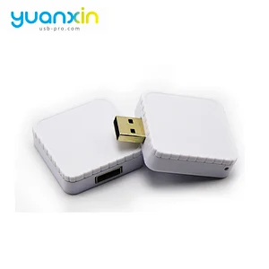 Custom Promotional Plastic Case USB Flash Drive