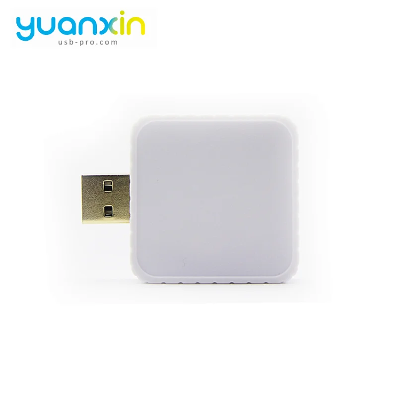 Custom Promotional Plastic Case USB Flash Drive
