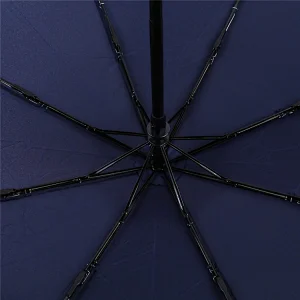 Amazon Best Sell Convenience windproof stormproof Fabric Coating compact 3 fold travel umbrella