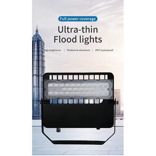 LED Floodlight