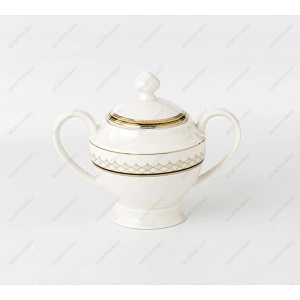 bone porcelain dinner set 7607 for 6/8/12 persons
