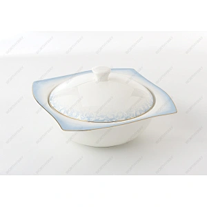 bone porcelain dinner set 7491 for 6/8/12 persons