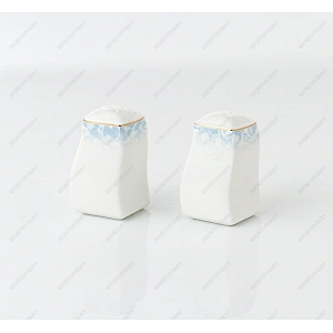 bone porcelain dinner set 7491 for 6/8/12 persons